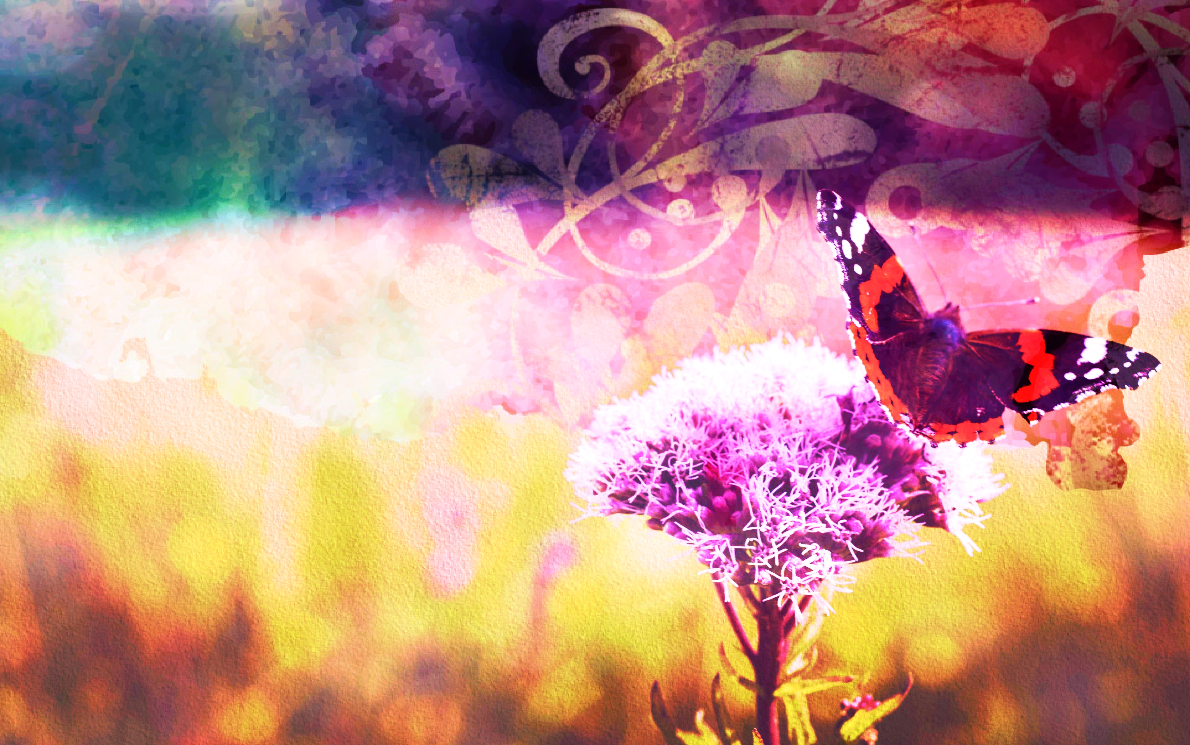 josephine-amalie-paysen-341672